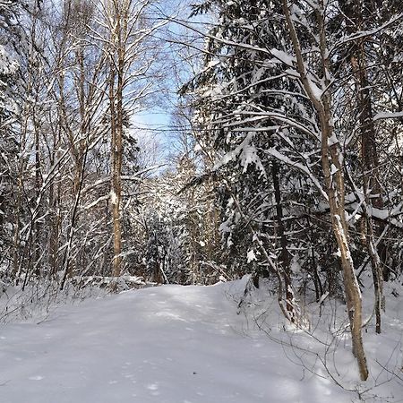 La Taniere De L'Ours Hotell Saint-Donat-de-Montcalm Eksteriør bilde