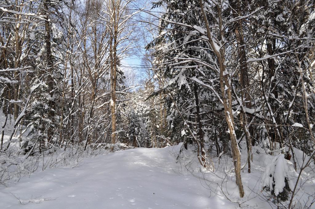 La Taniere De L'Ours Hotell Saint-Donat-de-Montcalm Eksteriør bilde