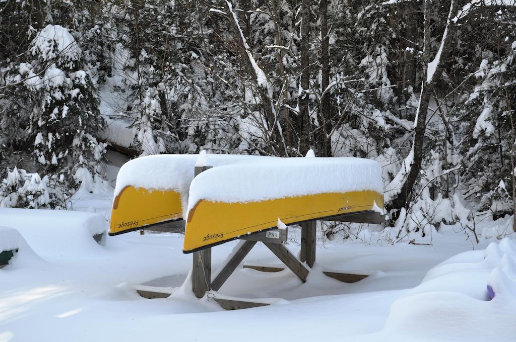La Taniere De L'Ours Hotell Saint-Donat-de-Montcalm Eksteriør bilde