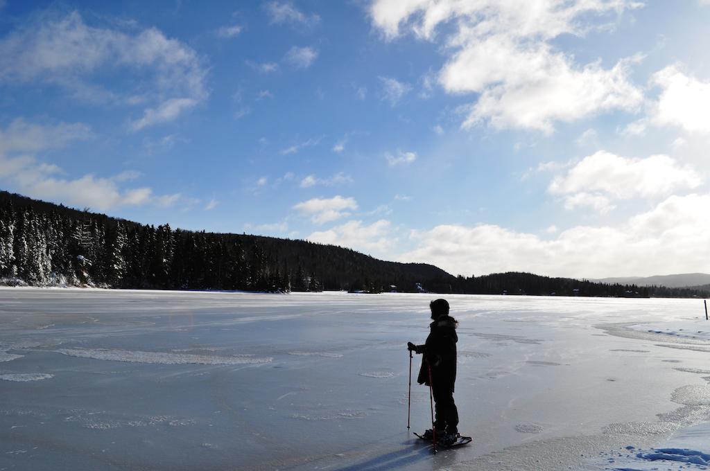 La Taniere De L'Ours Hotell Saint-Donat-de-Montcalm Eksteriør bilde