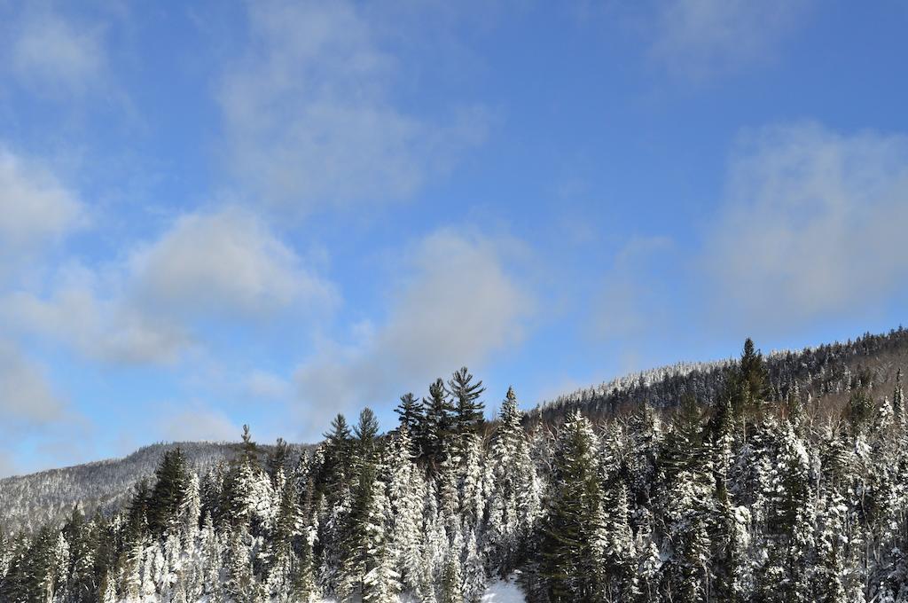 La Taniere De L'Ours Hotell Saint-Donat-de-Montcalm Eksteriør bilde