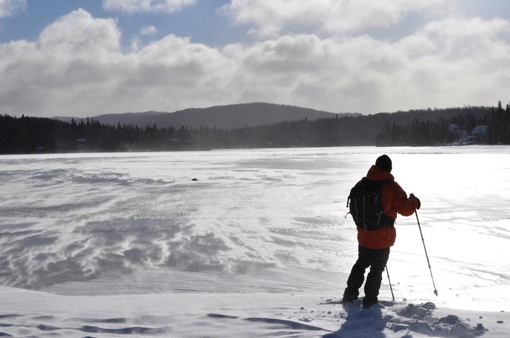 La Taniere De L'Ours Hotell Saint-Donat-de-Montcalm Eksteriør bilde