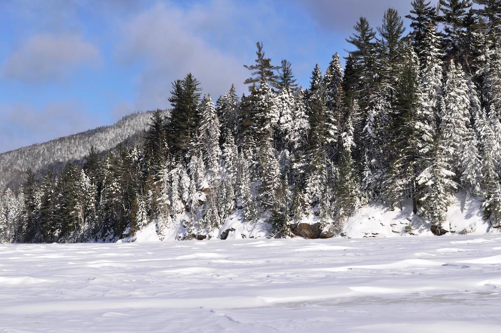 La Taniere De L'Ours Hotell Saint-Donat-de-Montcalm Eksteriør bilde